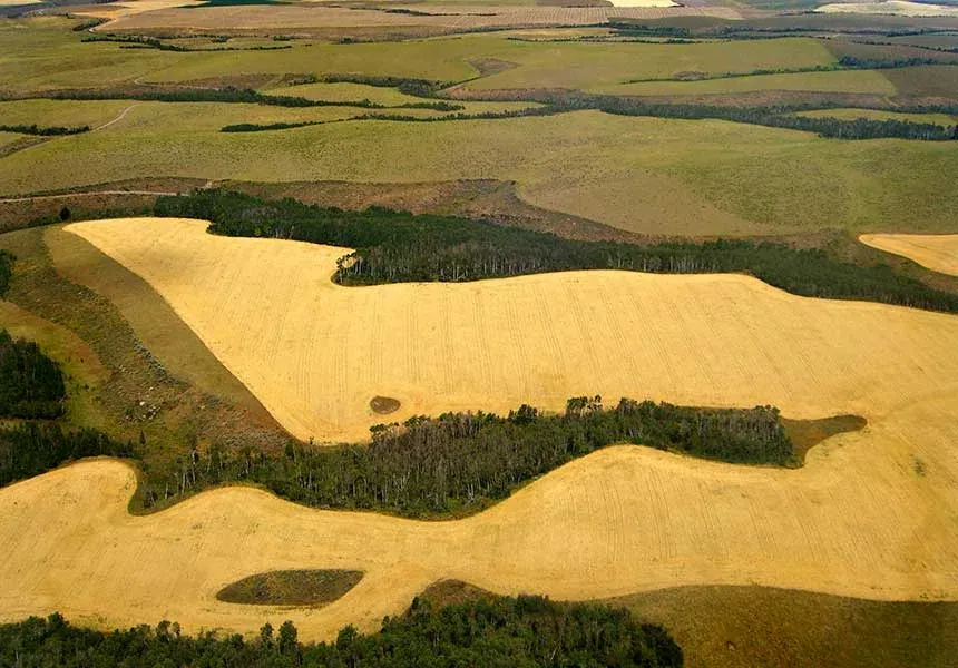 East Idaho farm ground and timber seen from above