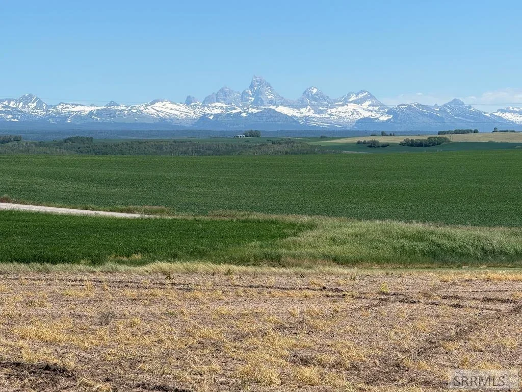 Farm fields east of Ashton with the snow-capped Teton Range on the horizon