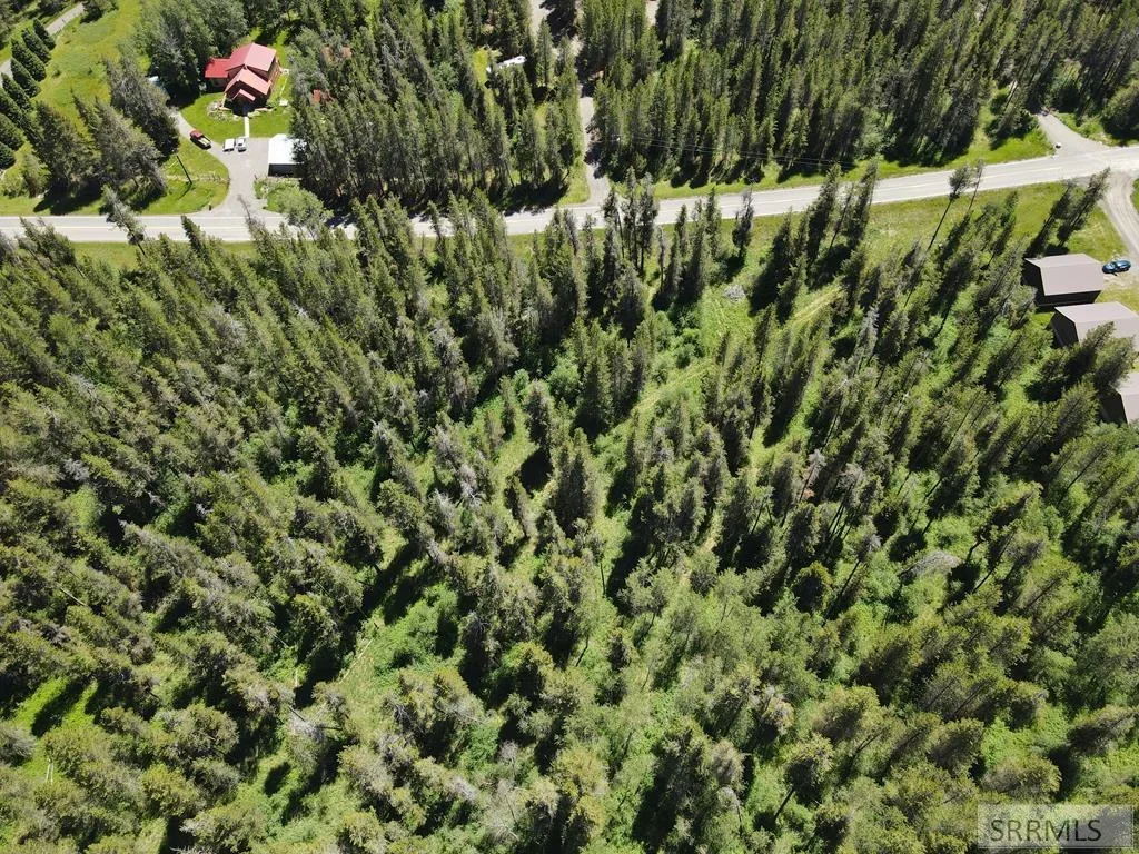 An aerial view of a wooded lodgepole-pine parcel near Ashton, Idaho